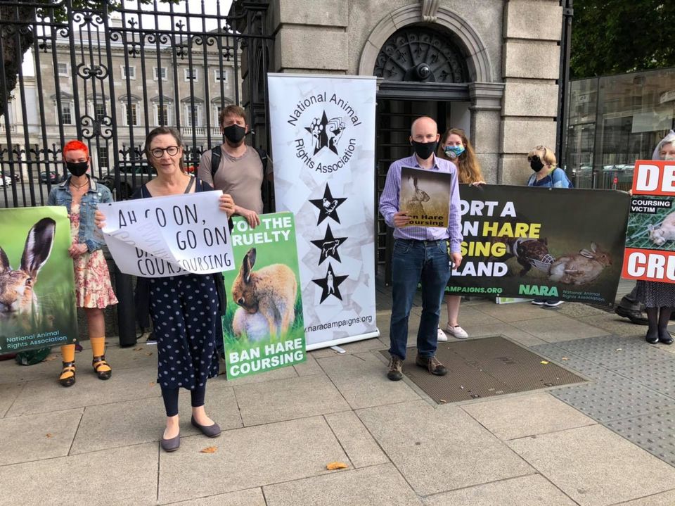 Bill to Ban Hare Coursing introduced in the Dáil